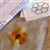 2 DSC09137 - 1 kopia.JPG